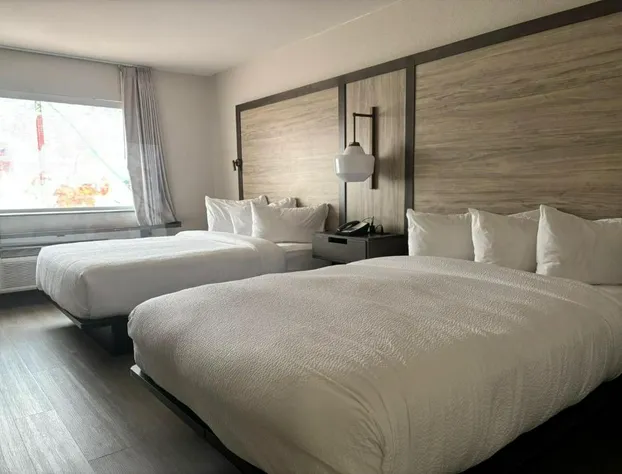 Fairfield Inn & Suites Corpus Christi hotel detail image 4