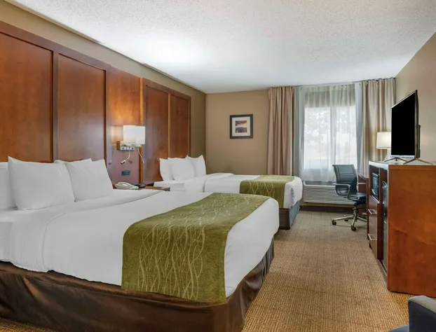 Comfort Inn Romeoville - Bolingbrook hotel detail image 4