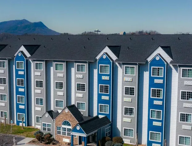 Microtel Inn & Suites by Wyndham Pigeon Forge hotel detail image 4