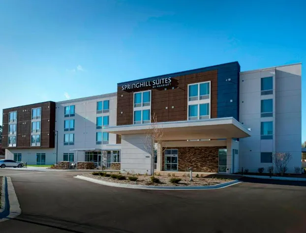 SpringHill Suites by Marriott East Lansing University Area hotel detail image 1