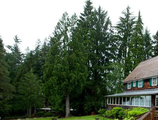 Lake Quinault Lodge hotel detail image 3