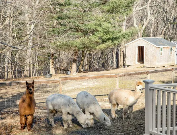 Lamberts Cove Inn hotel detail image 1