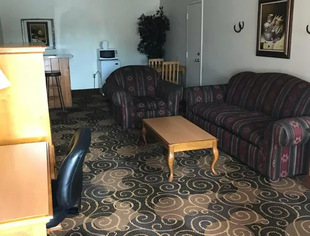 Days Inn by Wyndham San Angelo hotel detail image 2