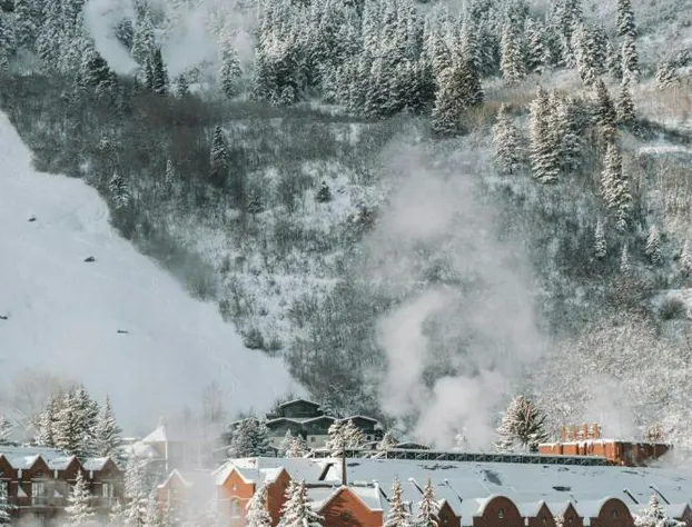 The St. Regis Aspen Resort hotel detail image 3