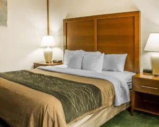 Comfort Inn hotel detail image 4