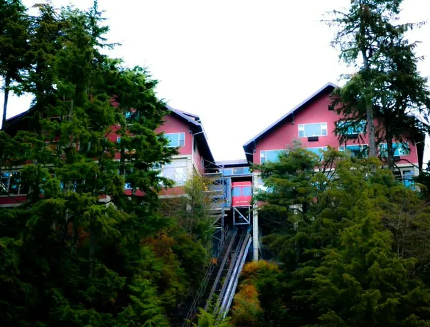 Cape Fox Lodge hotel detail image 3