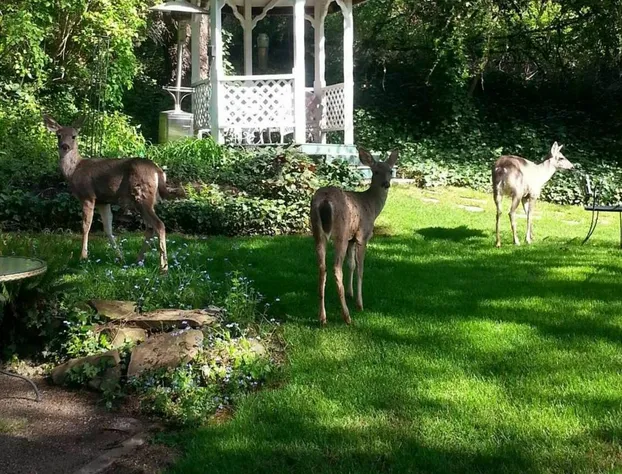 Campbell House Inn hotel detail image 4