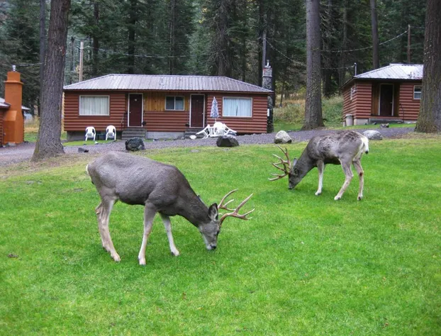 Eagle Cap Chalets hotel detail image 4