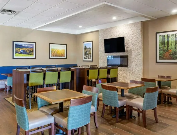 Comfort Inn & Suites near Danville Mall hotel detail image 2