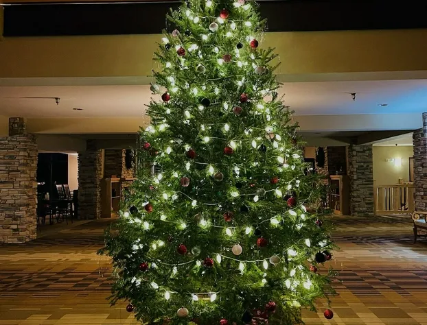 Northernaire Resort hotel detail image 3