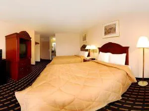 Quality Inn Homewood hotel detail image 3