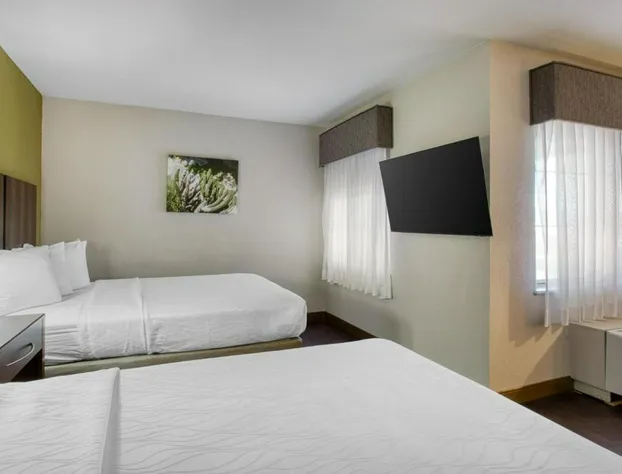 Best Western North Phoenix Hotel hotel detail image 3