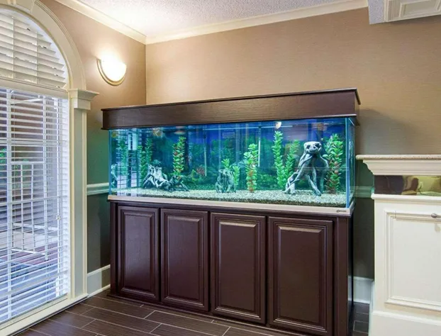 Quality Inn & Suites Little Rock West hotel detail image 2