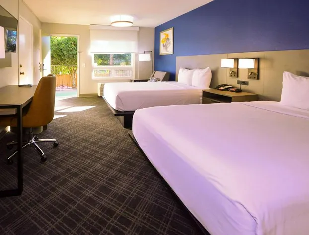 Comfort Inn Encinitas Near Legoland hotel detail image 3