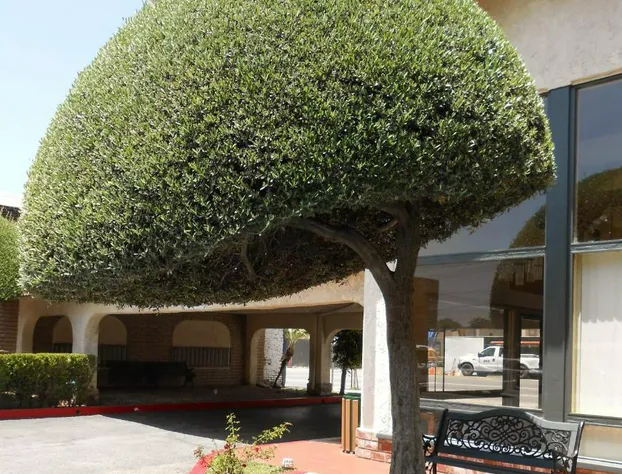 Vagabond Inn Glendale hotel detail image 1