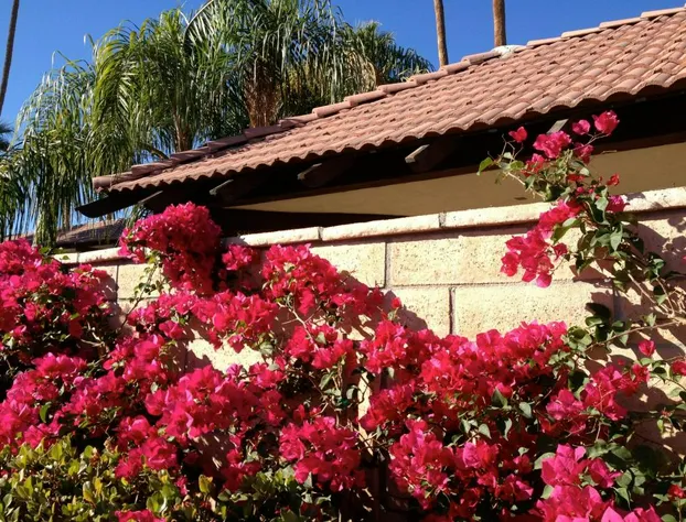 LaMaison Palm Springs hotel detail image 4