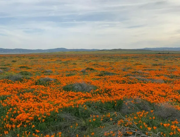 Lancaster Inn hotel detail image 2