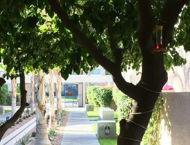 Vista Mirage Resort hotel detail image 4