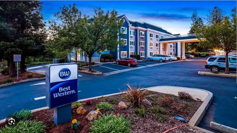 Best Western Paradise Hotel hotel hero