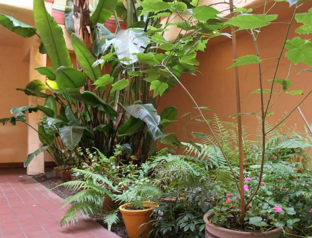 Carousel Beach Inn hotel detail image 3