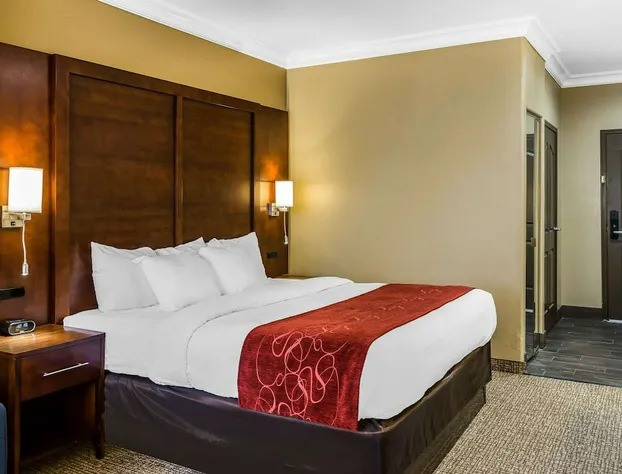 Comfort Suites San Jose Airport hotel detail image 4