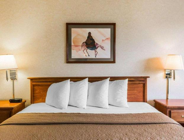 Quality Inn & Suites Montrose - Black Canyon Area hotel detail image 3