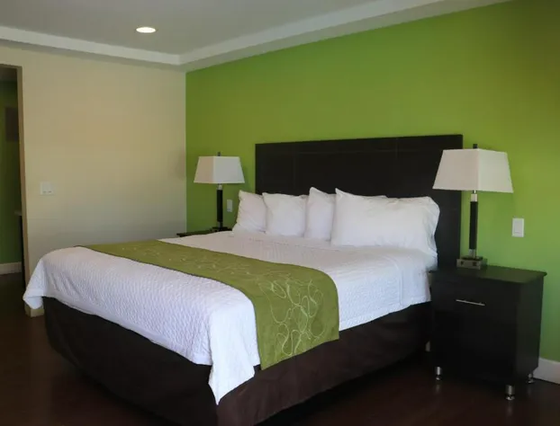 Curtis Inn & Suites hotel detail image 1