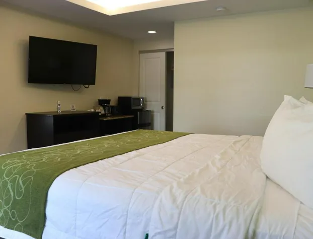Curtis Inn & Suites hotel detail image 2