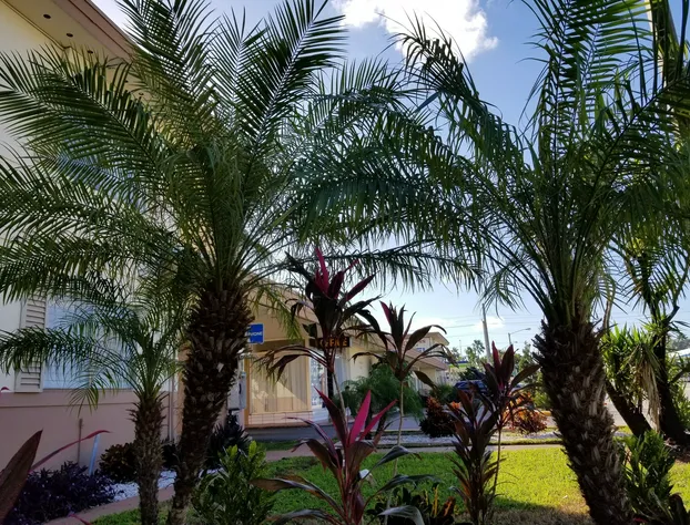 Parkway Inn Airport Motel Miami hotel detail image 1