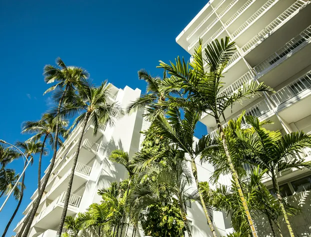 Oasis Hotel Waikiki hotel detail image 1