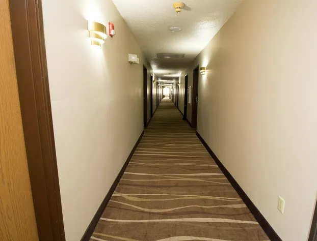 Super 8 by Wyndham Chicago O'Hare Airport hotel detail image 3