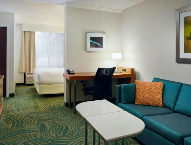 Springhill Suites by Marriott Chicago Elmhurst/Oakbrook Area hotel detail image 3