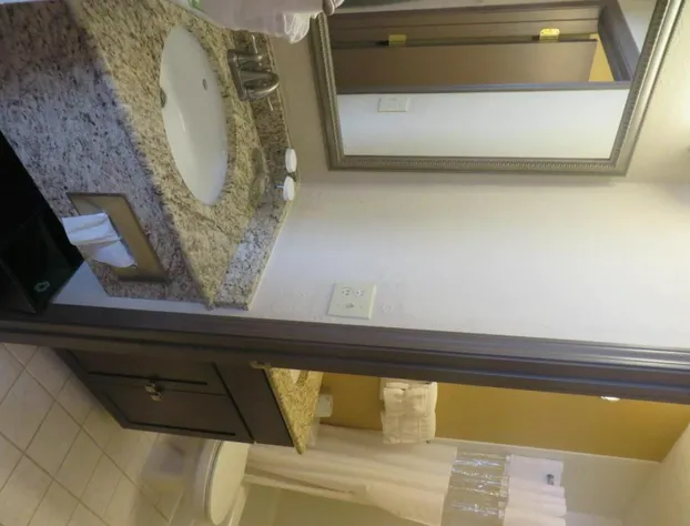 Ivy Court Inn & Suites hotel detail image 2