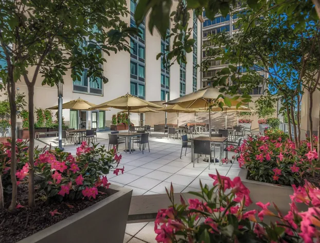 Courtyard by Marriott Bethesda/Chevy Chase hotel detail image 1