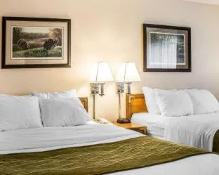 Quality Inn Petoskey-Harbor Springs hotel detail image 3