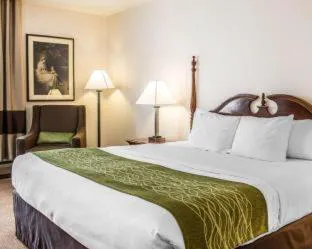 Quality Inn Petoskey-Harbor Springs hotel detail image 4