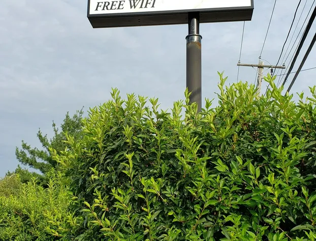 Boston Motel hotel detail image 4