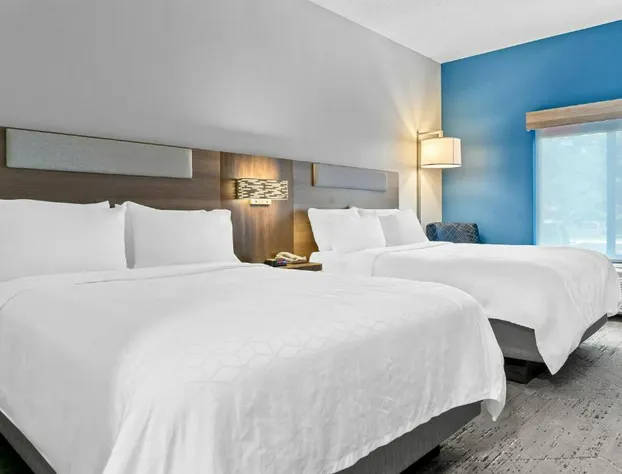 Holiday Inn Express Hotel & Suites Detroit-Novi by IHG hotel detail image 4