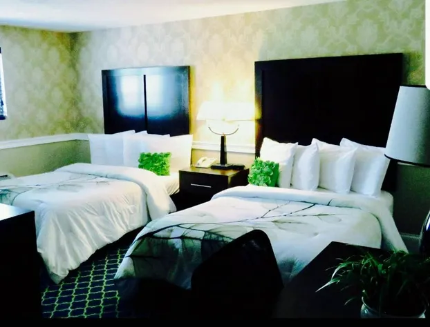 Rodeway Inn Logan International Airport hotel detail image 1