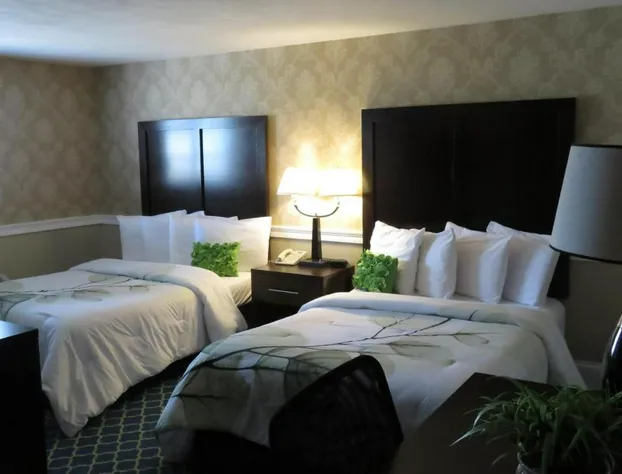 Rodeway Inn Logan International Airport hotel detail image 2