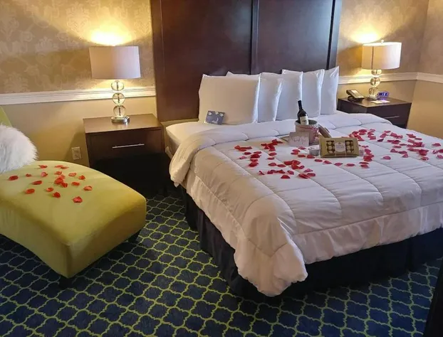 Rodeway Inn Logan International Airport hotel detail image 4