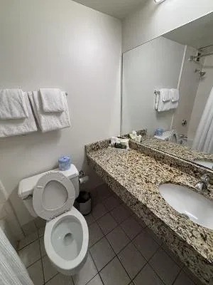 Hotel St. Regis hotel detail image 4