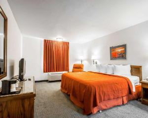 Quality Inn & Suites North Springfield hotel detail image 3