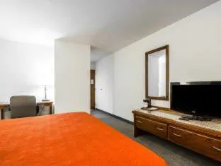 Quality Inn & Suites North Springfield hotel detail image 2