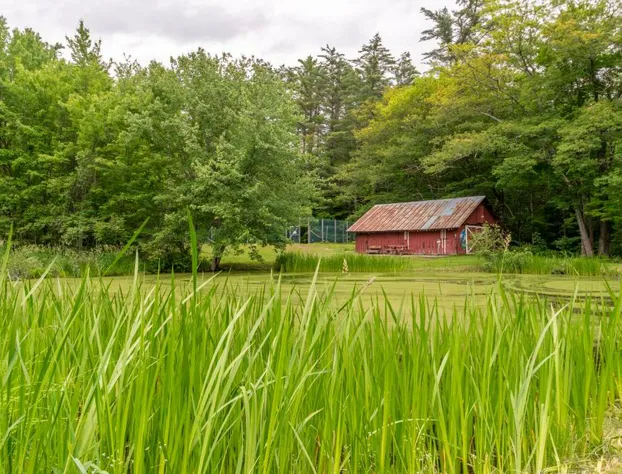 Cranmore Mountain Lodge Bed & Breakfast hotel detail image 4