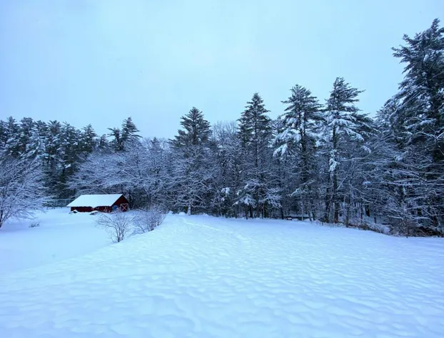 Cranmore Mountain Lodge Bed & Breakfast hotel detail image 3