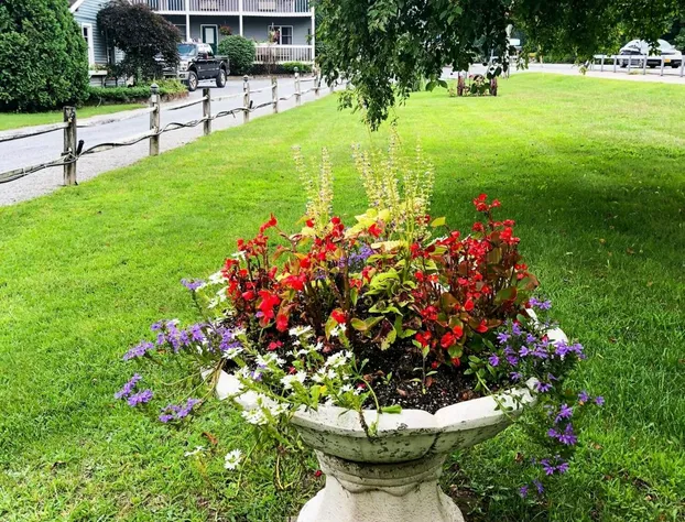 Lyn Aire Motel hotel detail image 4