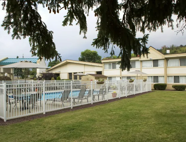 Quality Inn & Suites Vestal Binghamton Near University hotel detail image 3