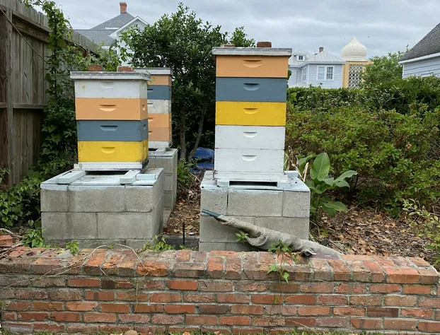 Hanna House Bed & Breakfast hotel detail image 3