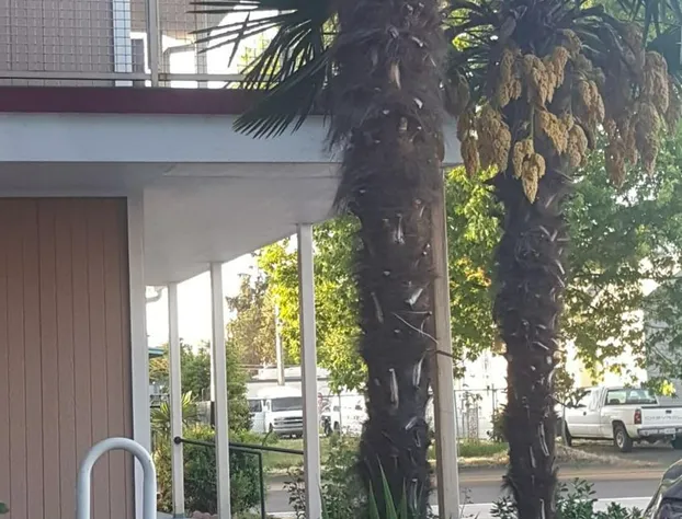 Express Inn & Suites hotel detail image 4